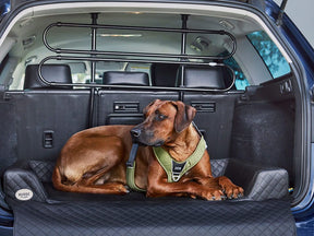 Car dog bed Vagn