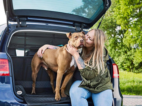 Car dog bed Vagn