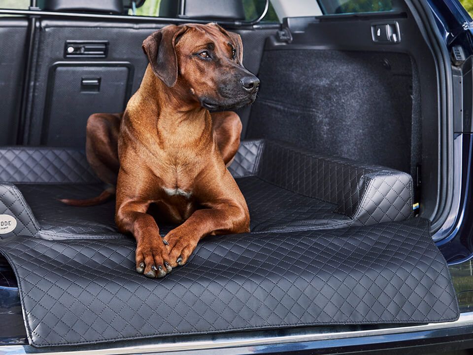 Car dog bed Vagn