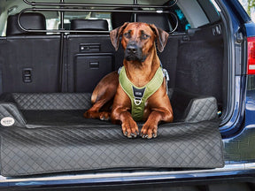 Car dog bed Vagn