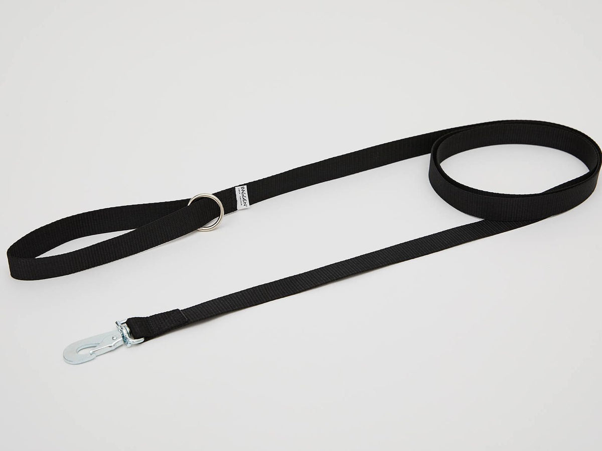 Baggen jogging leash