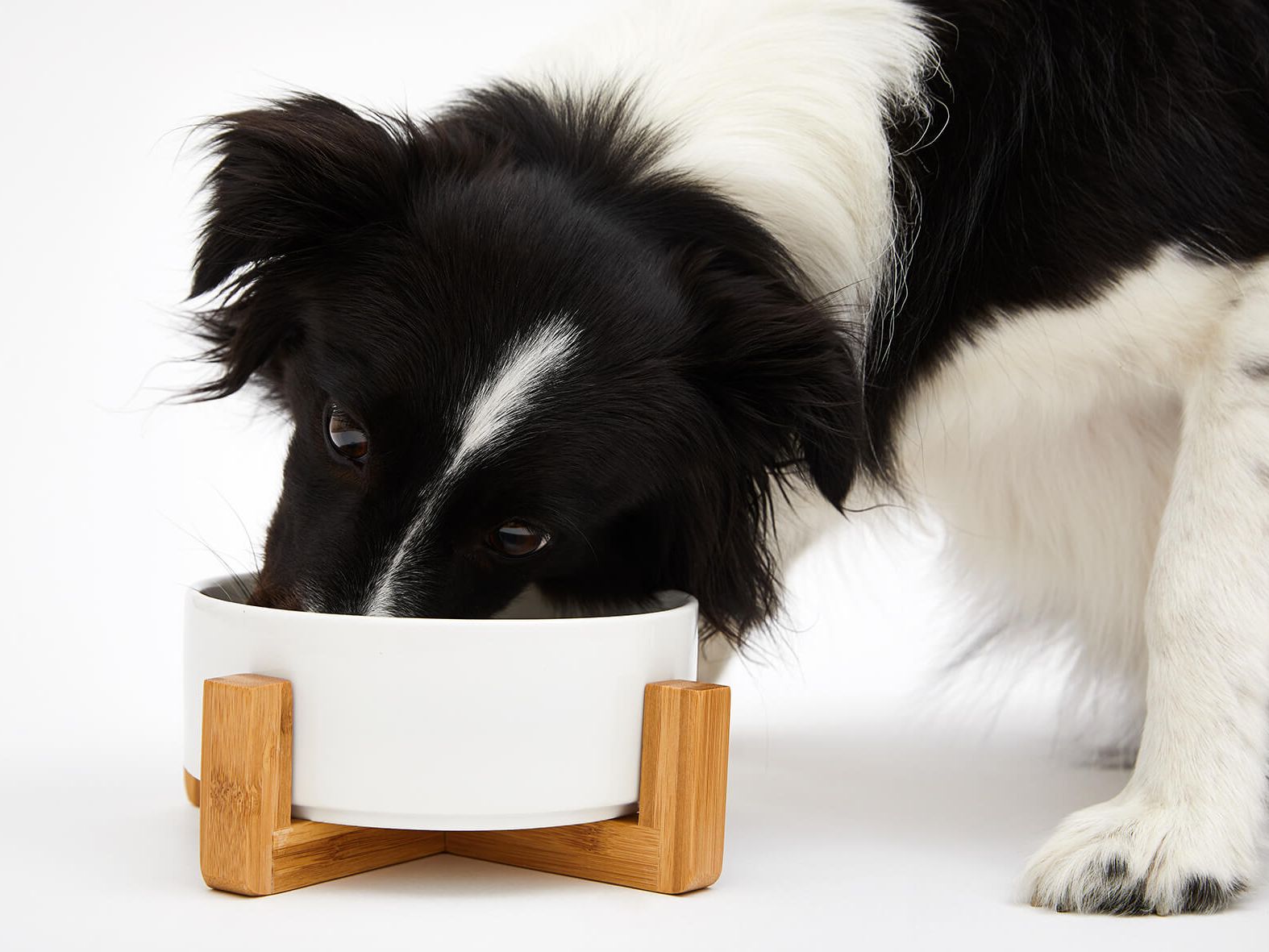 Bambu food bowl