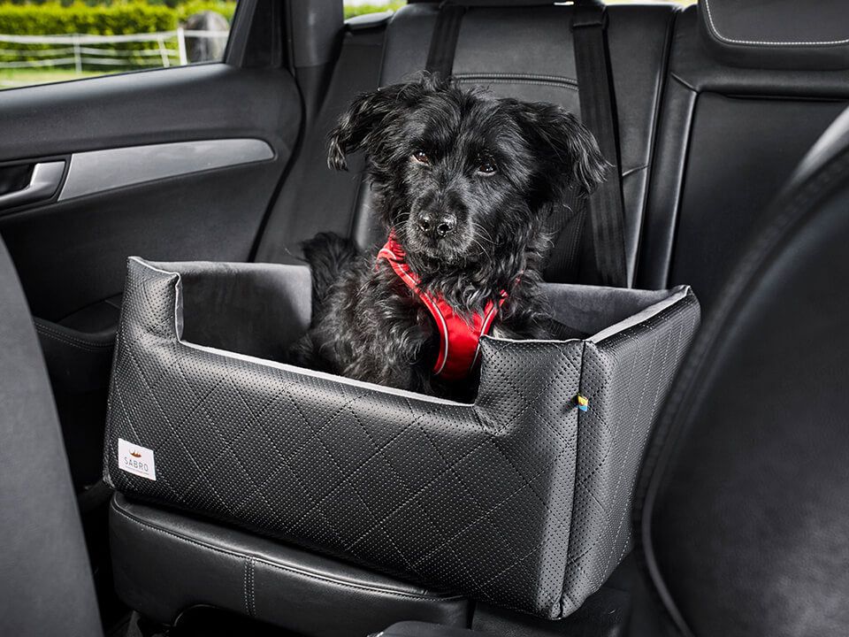 Dog car seat Rida