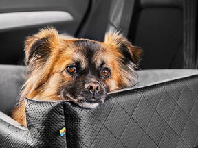 Dog car seat Rida