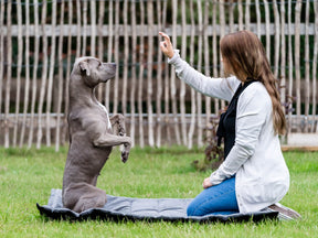 Skolan outdoor mat