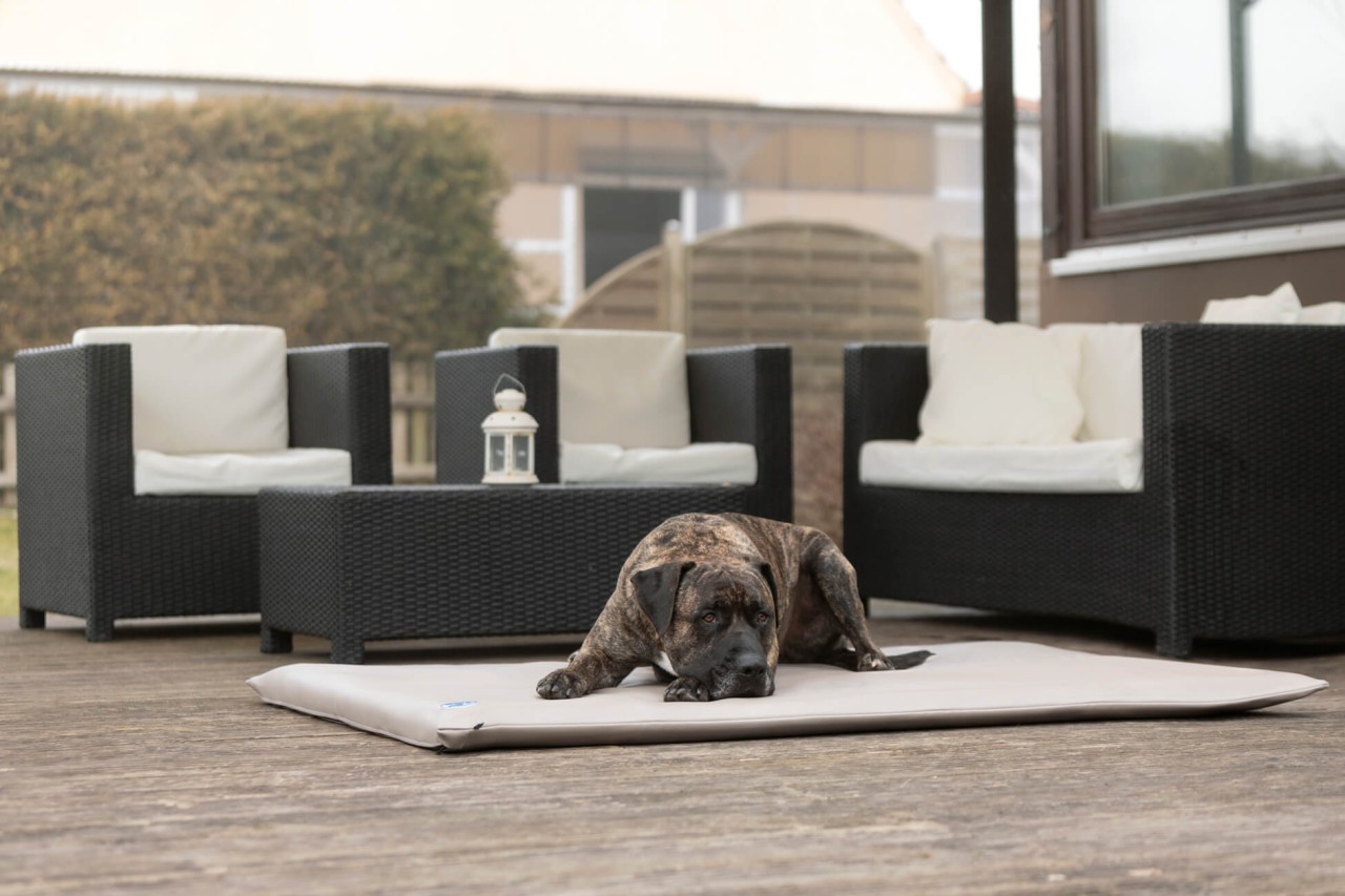 Outdoormatte für Hunde: Bil Matta