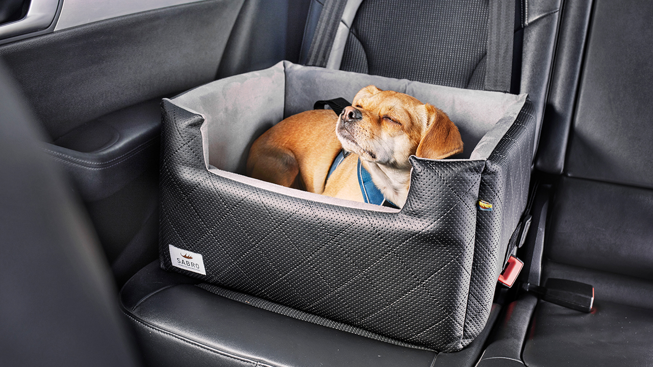 Auto Hundesitz Rida zum Transportieren deines Hunds auf dem Rücksitz