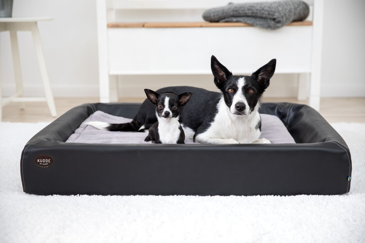 Inlay for dog bed Kudde: Mumin Silktouch