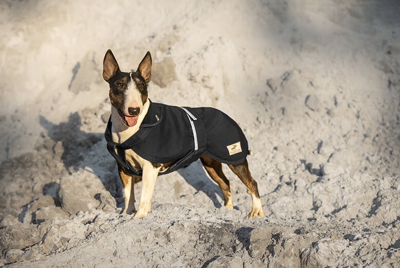 Regenmantel für Hunde mit Bauchschutz: Kappa