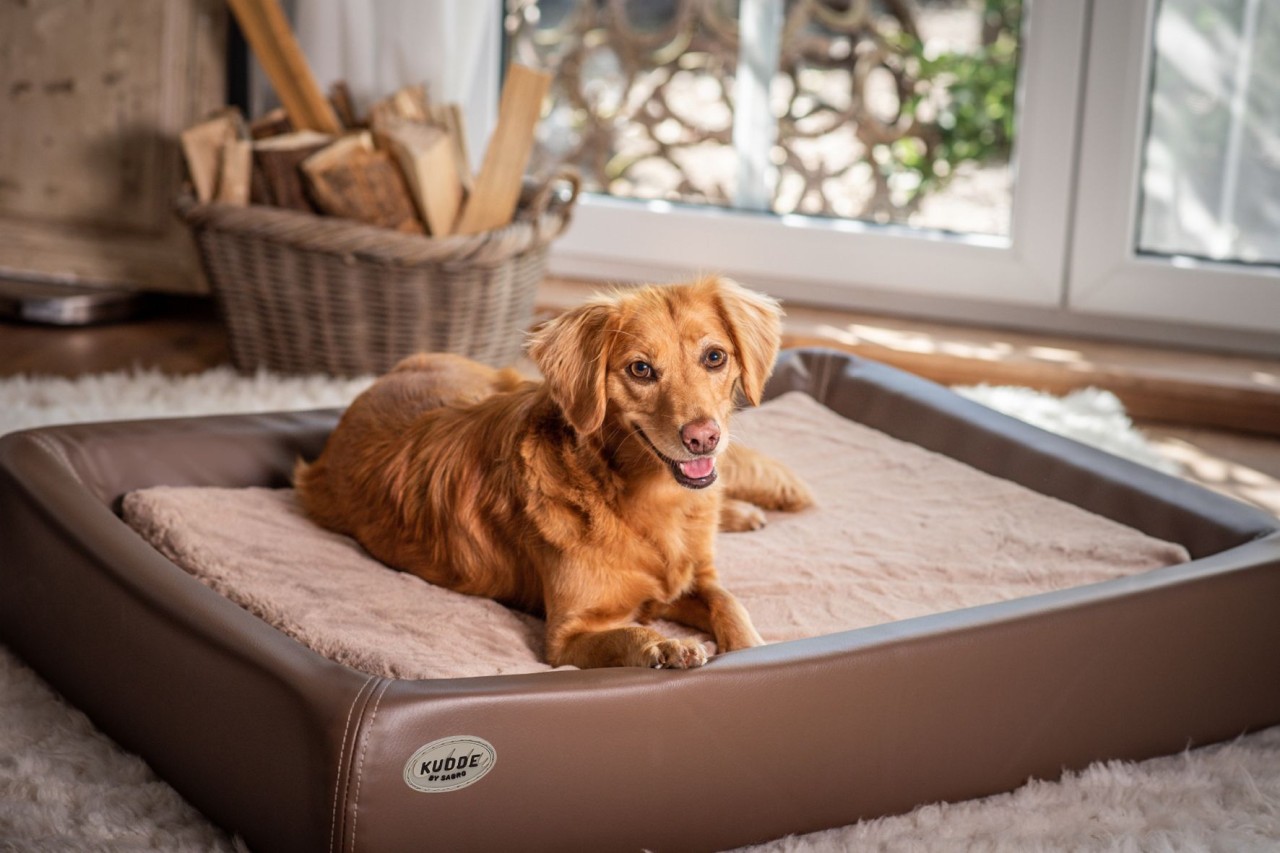 Inlay for dog bed Kudde: Mumin Silktouch