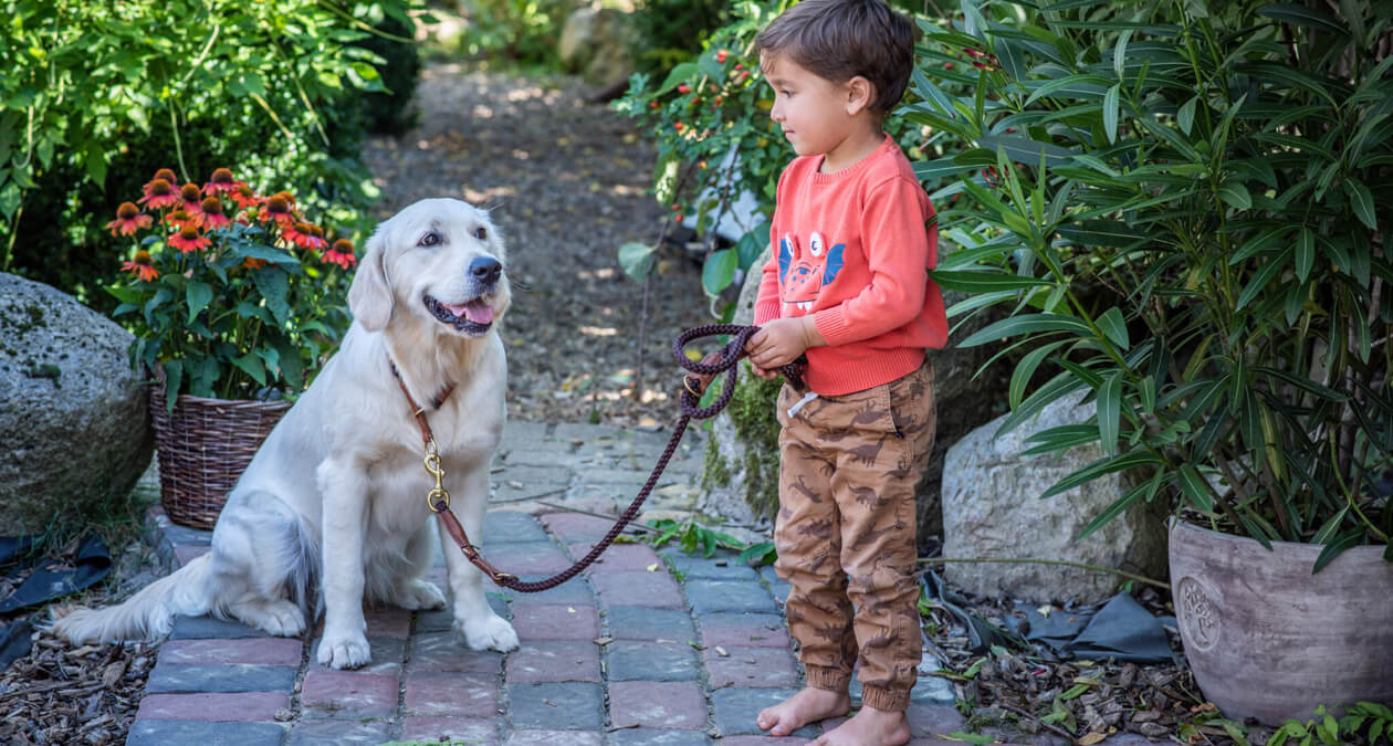 Junge hat Hund an der Leine Blog Leinenziehen SABRO