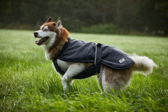 Kappa 2-in-1 Outdoormantel für Hunde
