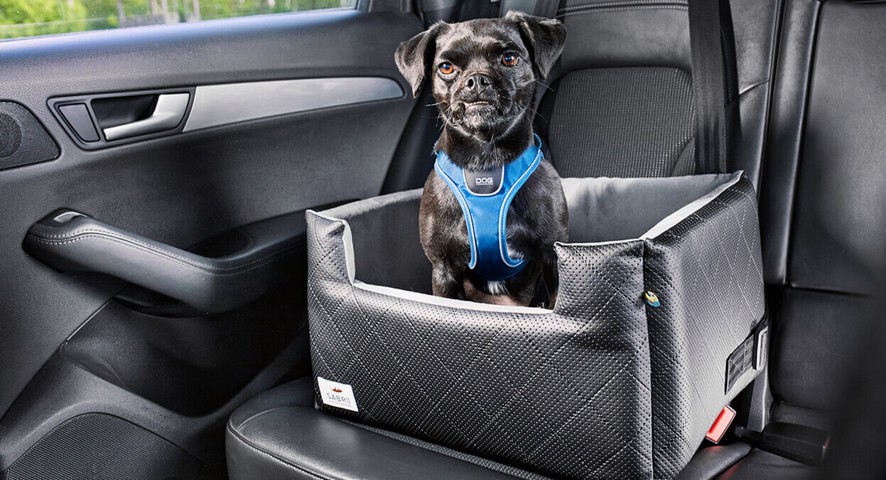 Auto Hundesitz Rida zum Transportieren deines Hunds auf dem Rücksitz