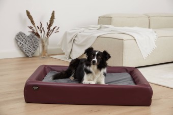 Inlay for dog bed Kudde: Mumin Mynki