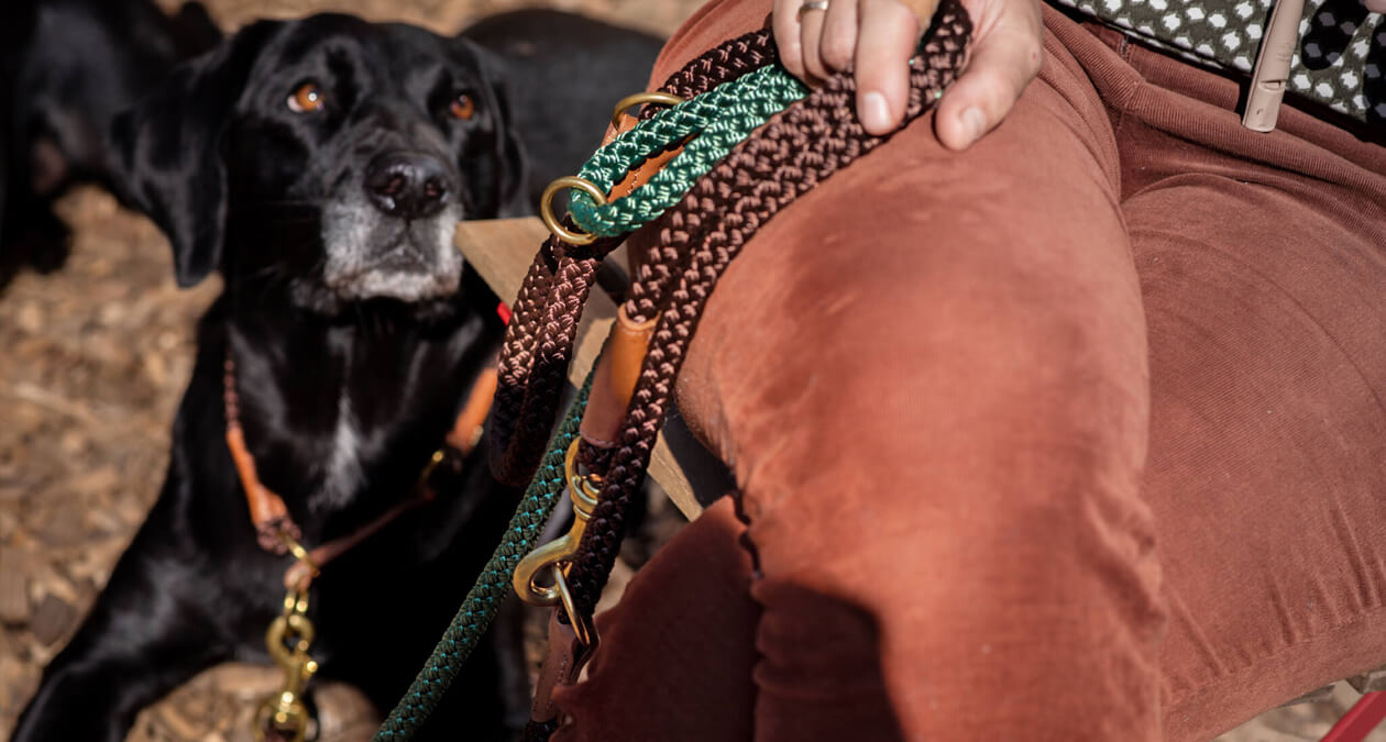 Frau mit Hund an Leine SABRO Blog Leinenziehen