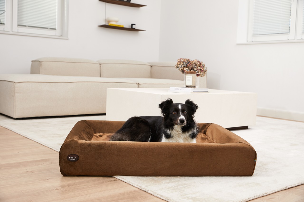 Dog bed cover for kudde: Mynki