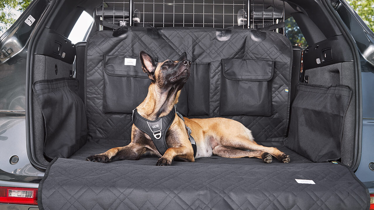 Sicherheitsgurt für den Hund: gut gesichert im Auto