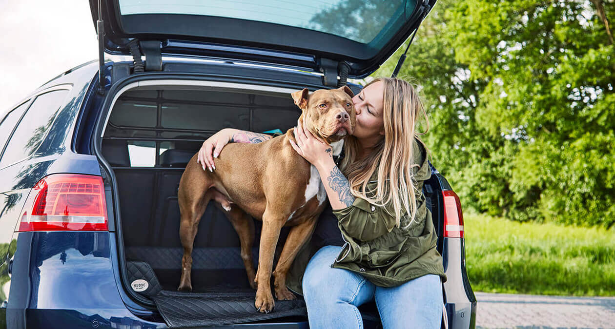 So transportierst du deinen Hund im Auto