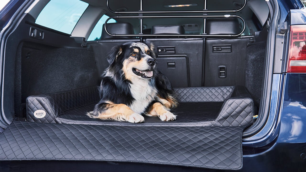 Die Top 16 der besten Hundebetten für den Kofferraum – Ein Ratgeber