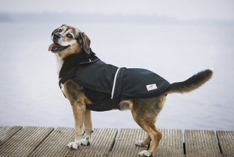 Regenmantel für Hunde mit Bauchschutz: Kappa